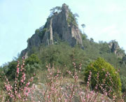 松阳明天天气